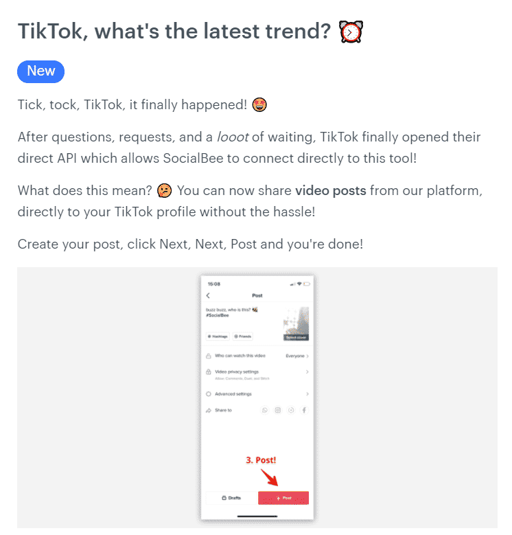 SocialBee TikTok posting