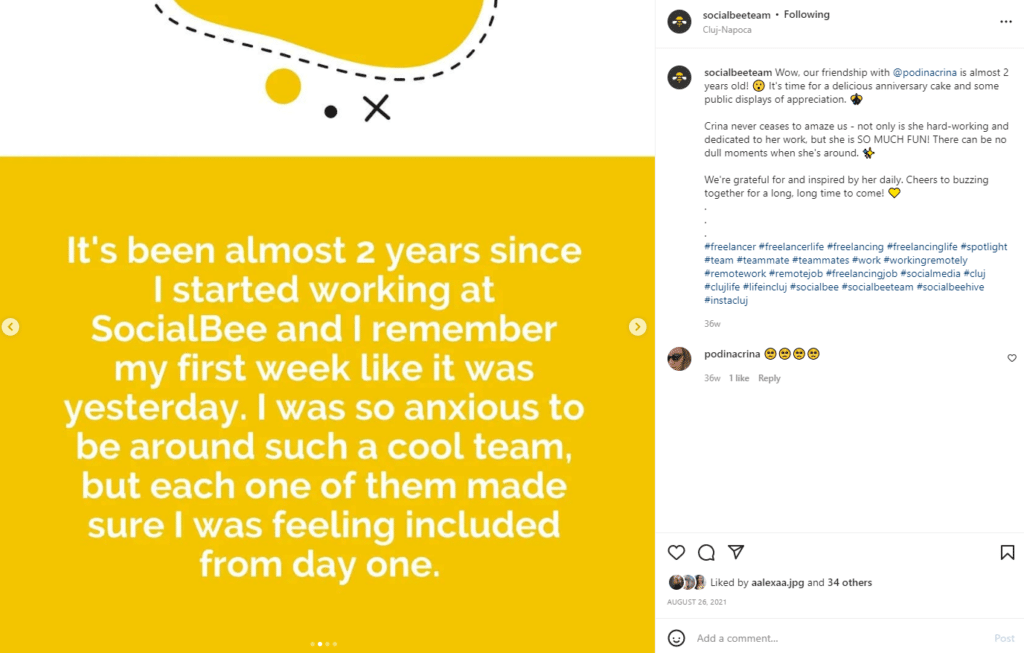 SocialBee Instagram carousel - freelancer spotlight